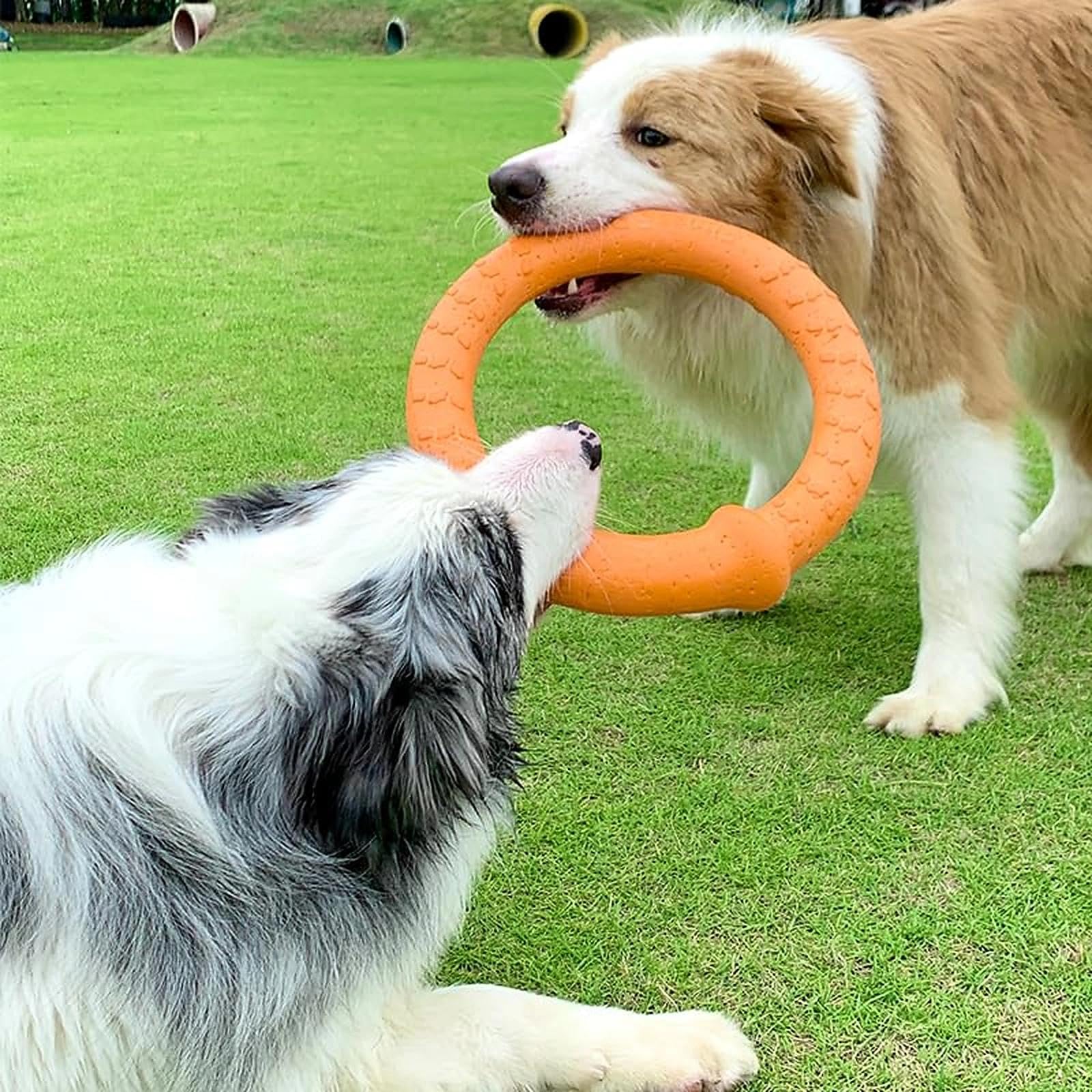 LaRoo Hundespielzeug Hunde Frisbee Hundefitness Ring - Unzerstörbare Flugscheibe Extra Dick - Schwimmendes Hundespielzeug für Outdoor, Training, Sommeraktivitäten für Große Hunde (Orange)
