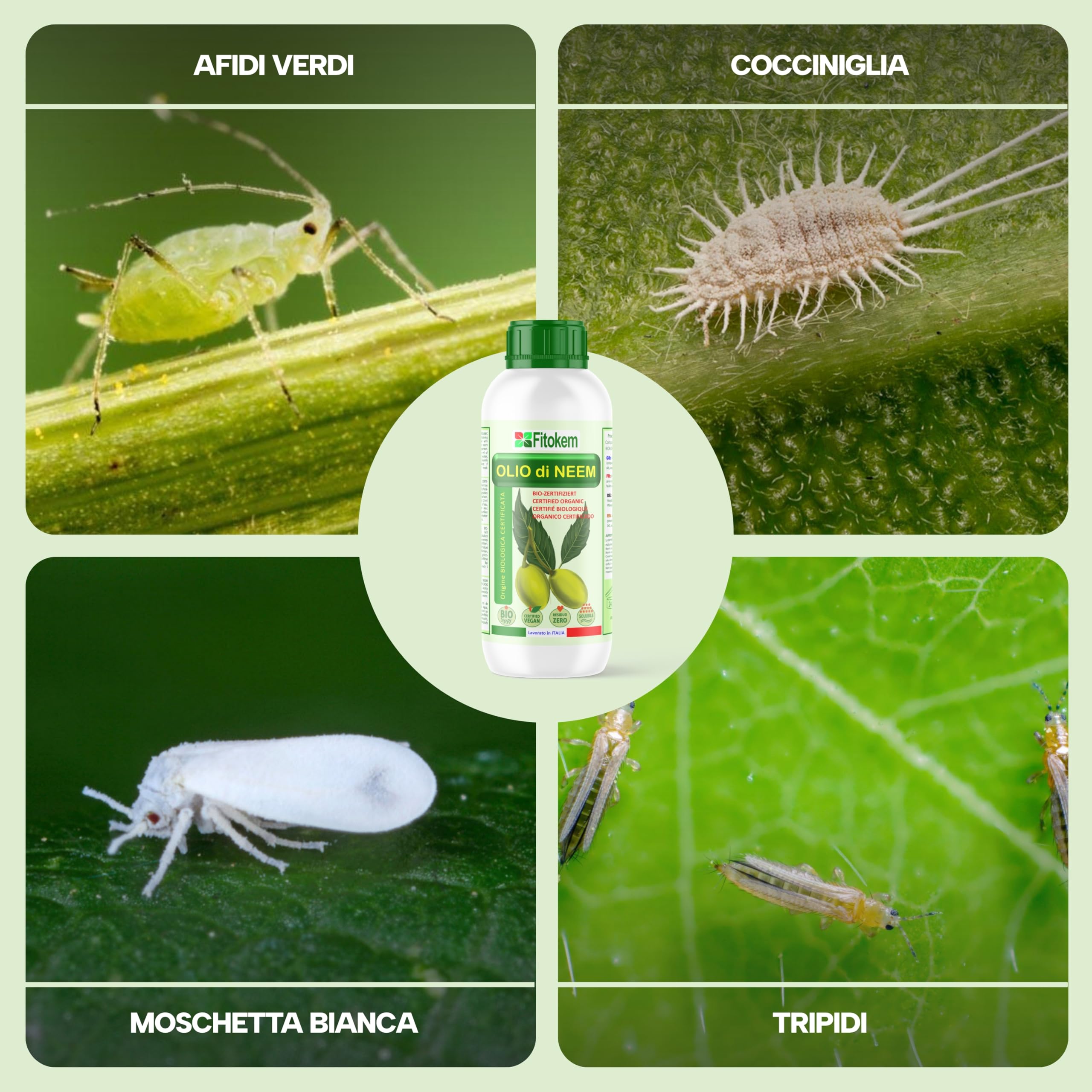 Fitokem Olio di Neem Solubile 1Litro Concentrato Biologico Anti Afidi Cocciniglia Pidocchi