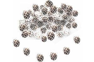 Rustic Mini White Pine Cones: Festive Ornaments for Every Season