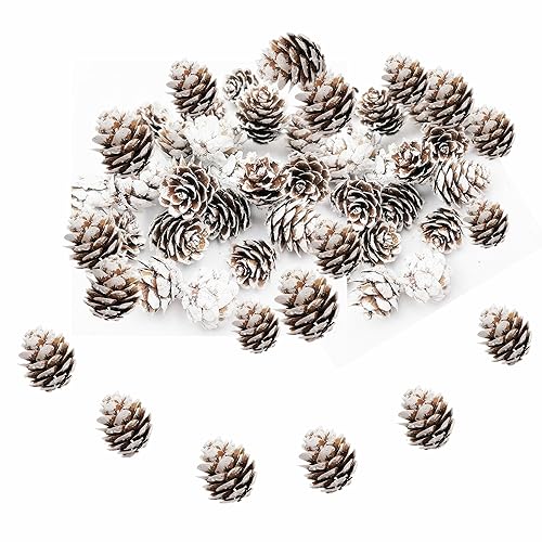 180 PCS Rustic Mini Pine Cones, White Christmas Snow Pinecones