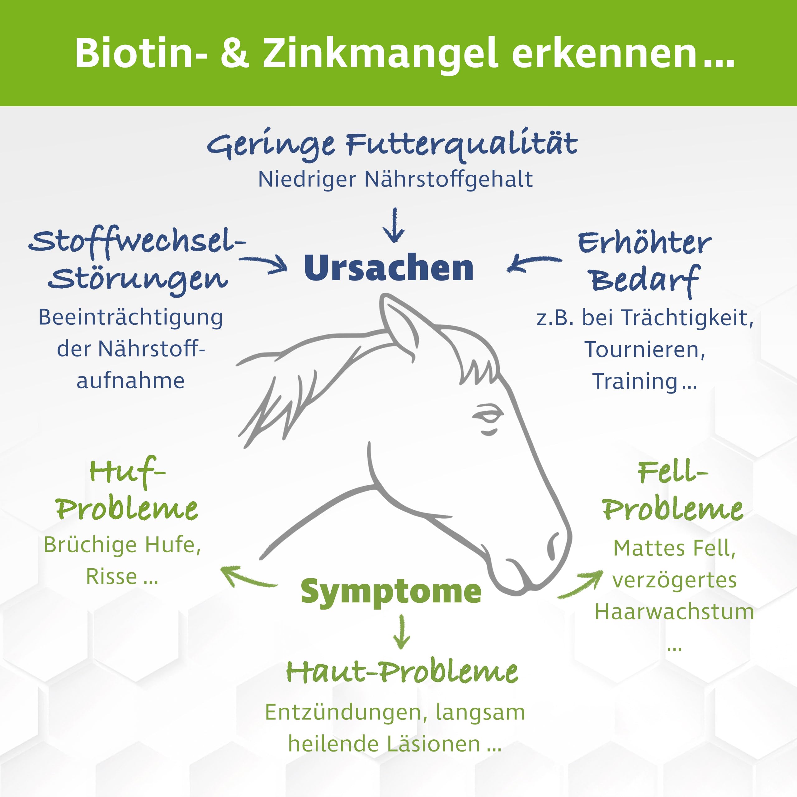 Biotin Plus Zinc Complément alimentaire cheval 1,2 kg peau pelage sabots mucus eczéma