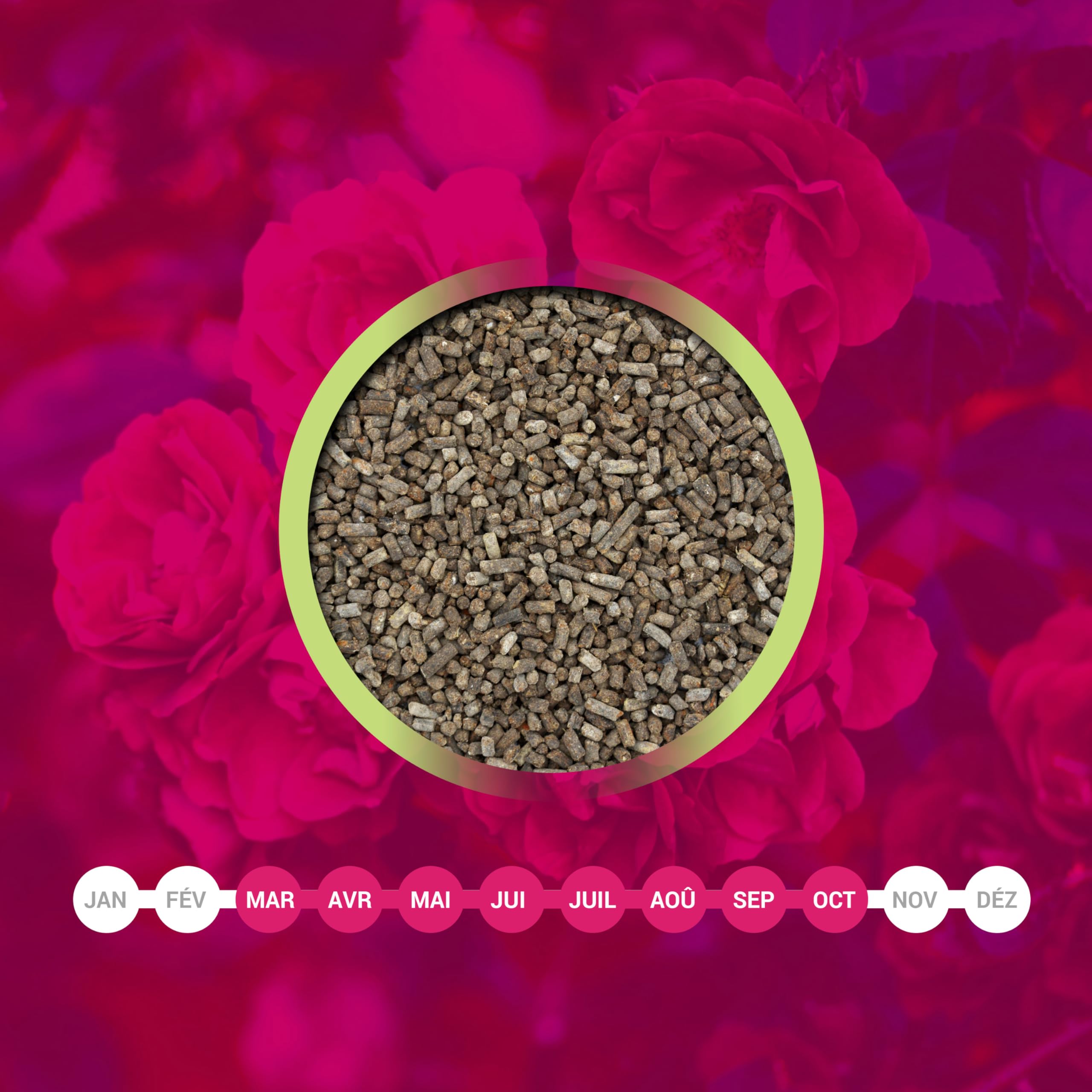 LERAVA® Engrais Rosier et Arbustes à Fleurs (800 g) - Engrais Bio Naturel - Favorise Croissance Vigoureuse et Couleurs Éclatantes - Engrais Rosier Extérieur et Plantes Fleuries - 100% Made in Italy