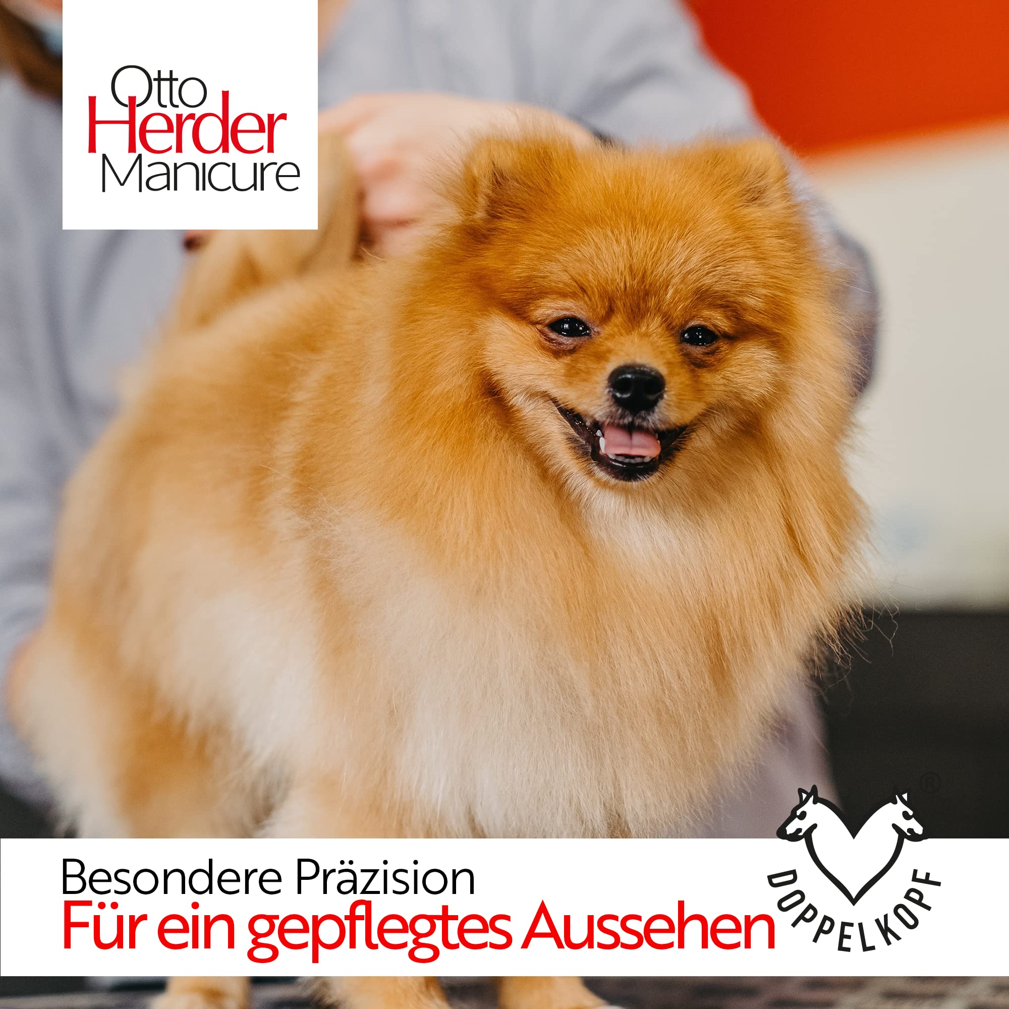 Otto Herder Manicure Fellschere Hunde 16,5cm, Fellschere abgerundet, Solingen rostfrei Edelstahl, Schere zum Fell schneiden, mit einseitiger Mikrozahnung