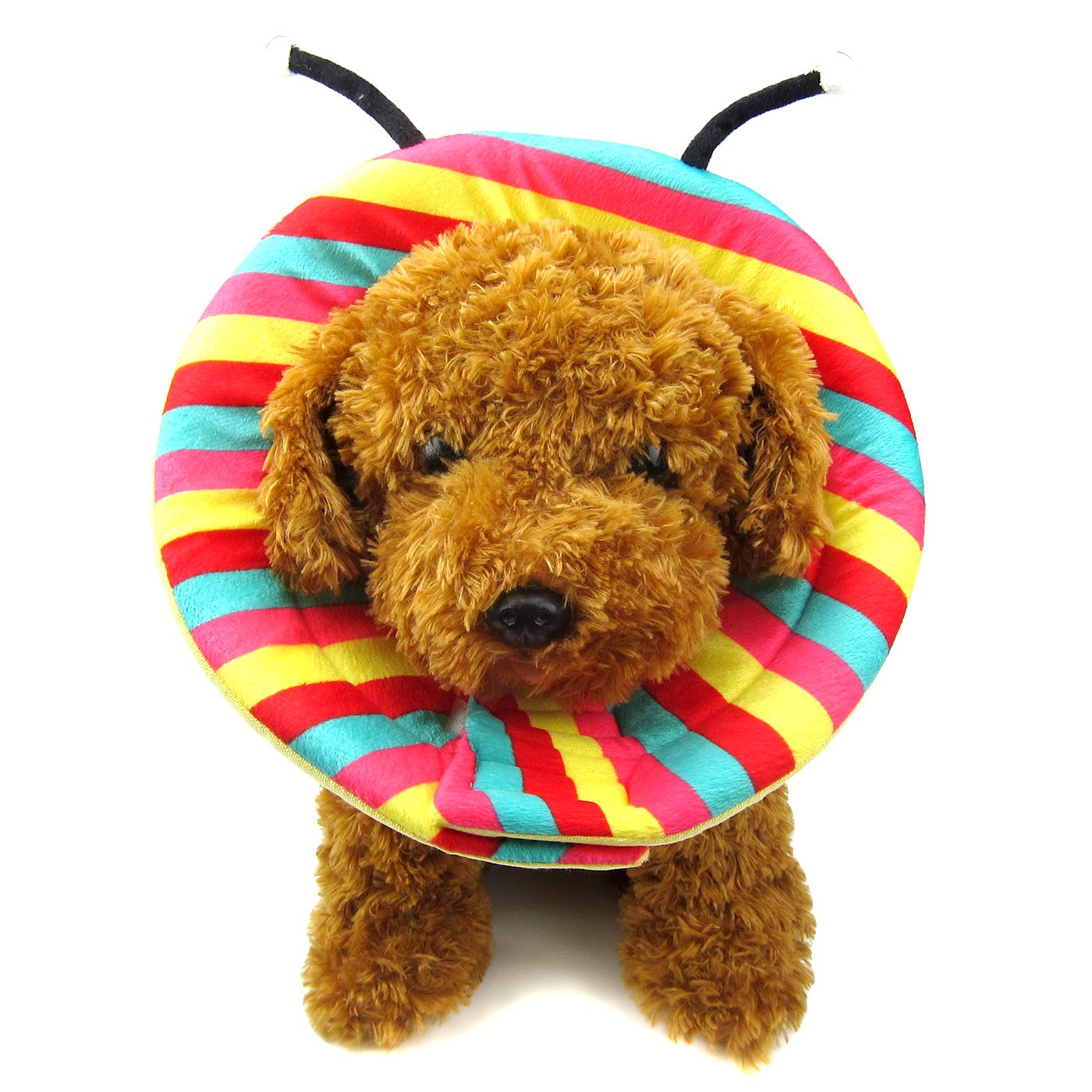 Alfie Pet Zaire Recovery Collar For Dogs And Cats Color