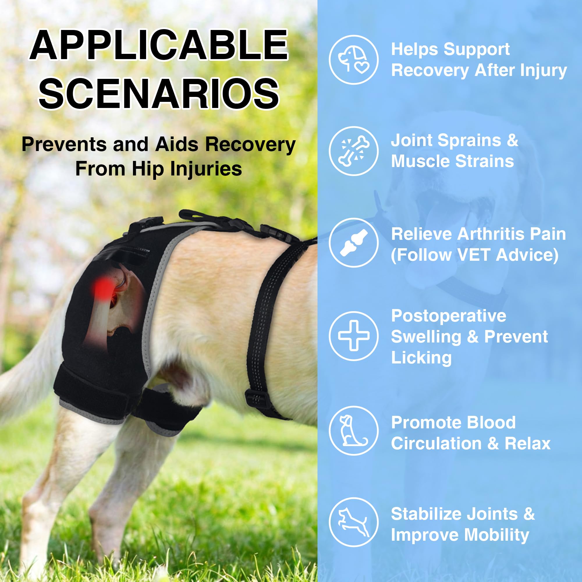 Soporte para displasia de cadera para perros con compresa caliente/fría, soporte de cadera transpirable y cómodo para ligamento cruzado anterior, artritis y movilidad posterior a la