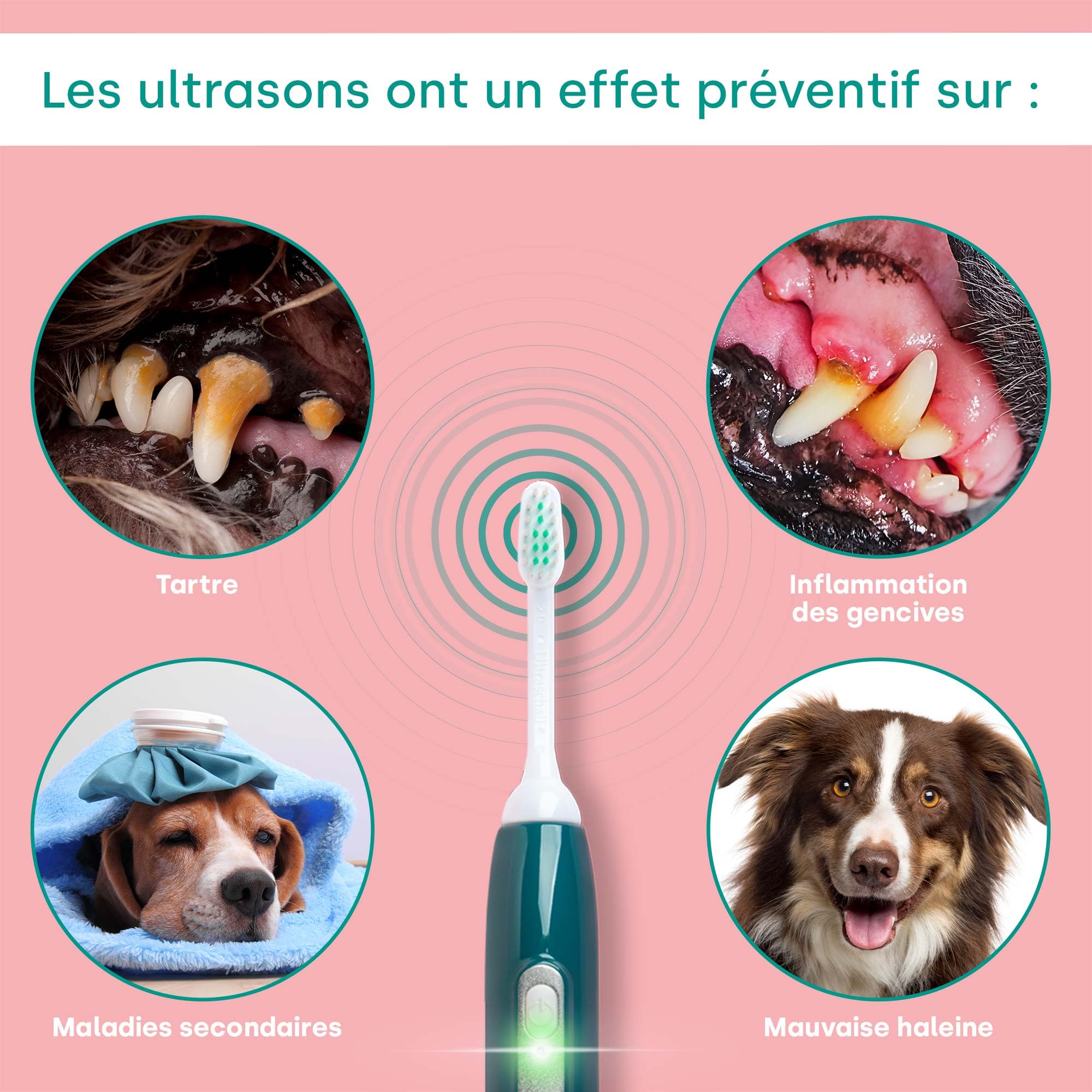 emmi-pet PRO Brosse à dents ultrasonique pour chiens - Brosse à dents silencieuse pour chiens et chats sans frottement avec 96 millions de vibrations - Prévient le tartre et les inflammations