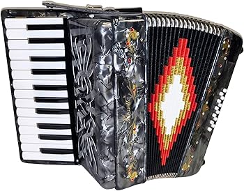 Amazon.com: Rossetti 2512 Piano Accordion 12 Bass 25 Keys with