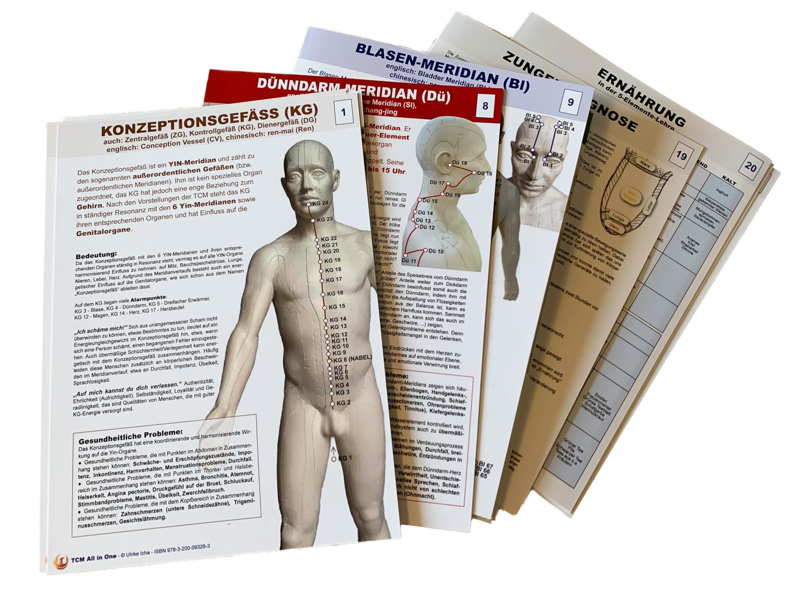 TCM - All In One: Kartenset - Traditionelle Chinesische Medizin