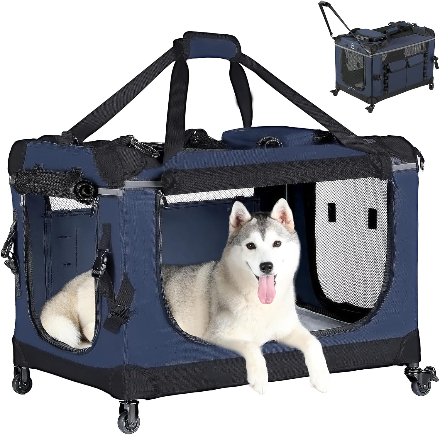 https://m.media-amazon.com/images/I/811diyfk00L._AC_SL1500_.jpg