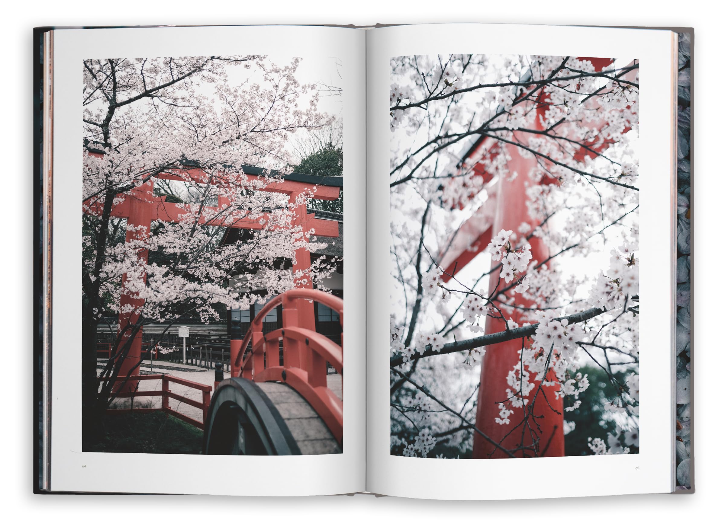 Kyoto Dreaming