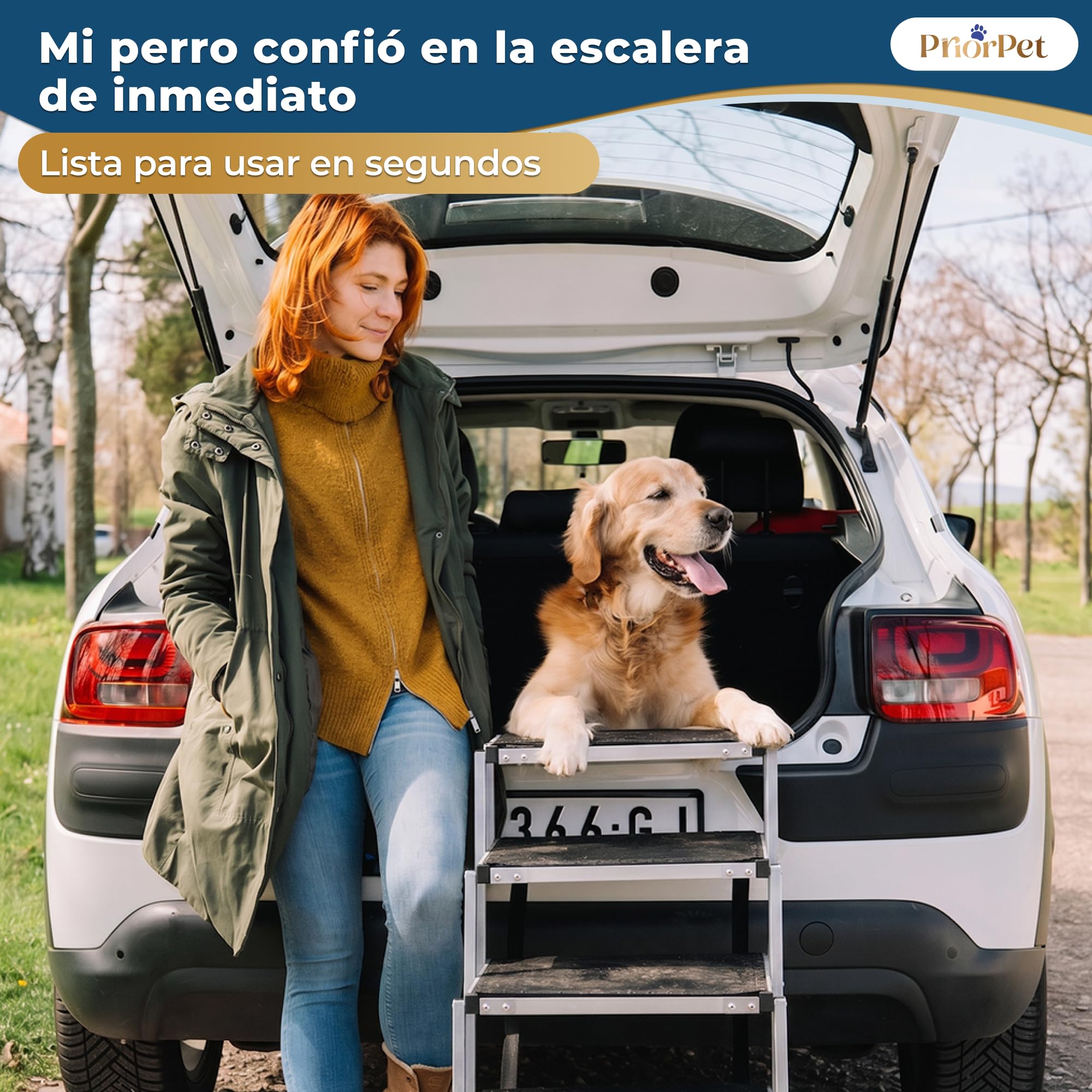 Escalera para Perros Coche Plegable – 4, 5 o 6 Peldaños para Maleteros Bajos y Altos (63–81 cm) – para Coches Pequeños, Familiares & SUV – Alternativa a Rampa para Perros