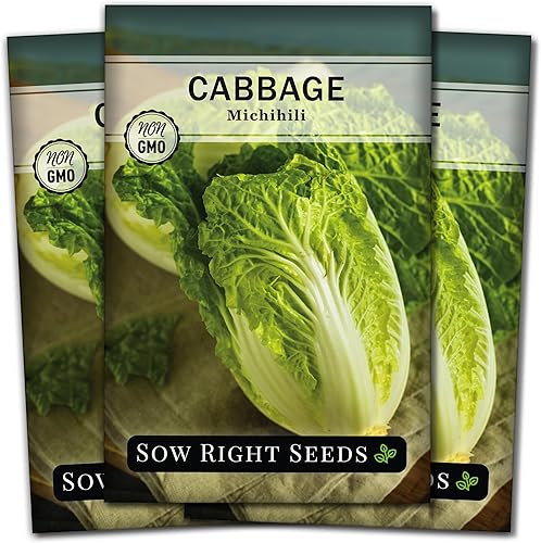 Sow Right Seeds - Semilla de repollo Michihili Napa para plantar - Paquete de reliquia sin OMG con instrucciones para plantar un huerto doméstico al disponible en Yaxa Peru