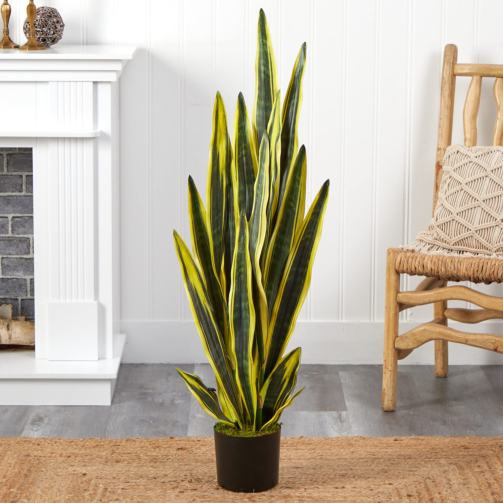 16 Artificial Sansevieria Snake Plant, Black Pot - Modern - Artificial Plants And Trees - by 16 Artificial Sansevieria Snake Plant, Black Pot - Modern - Artificial Plants And Trees - by