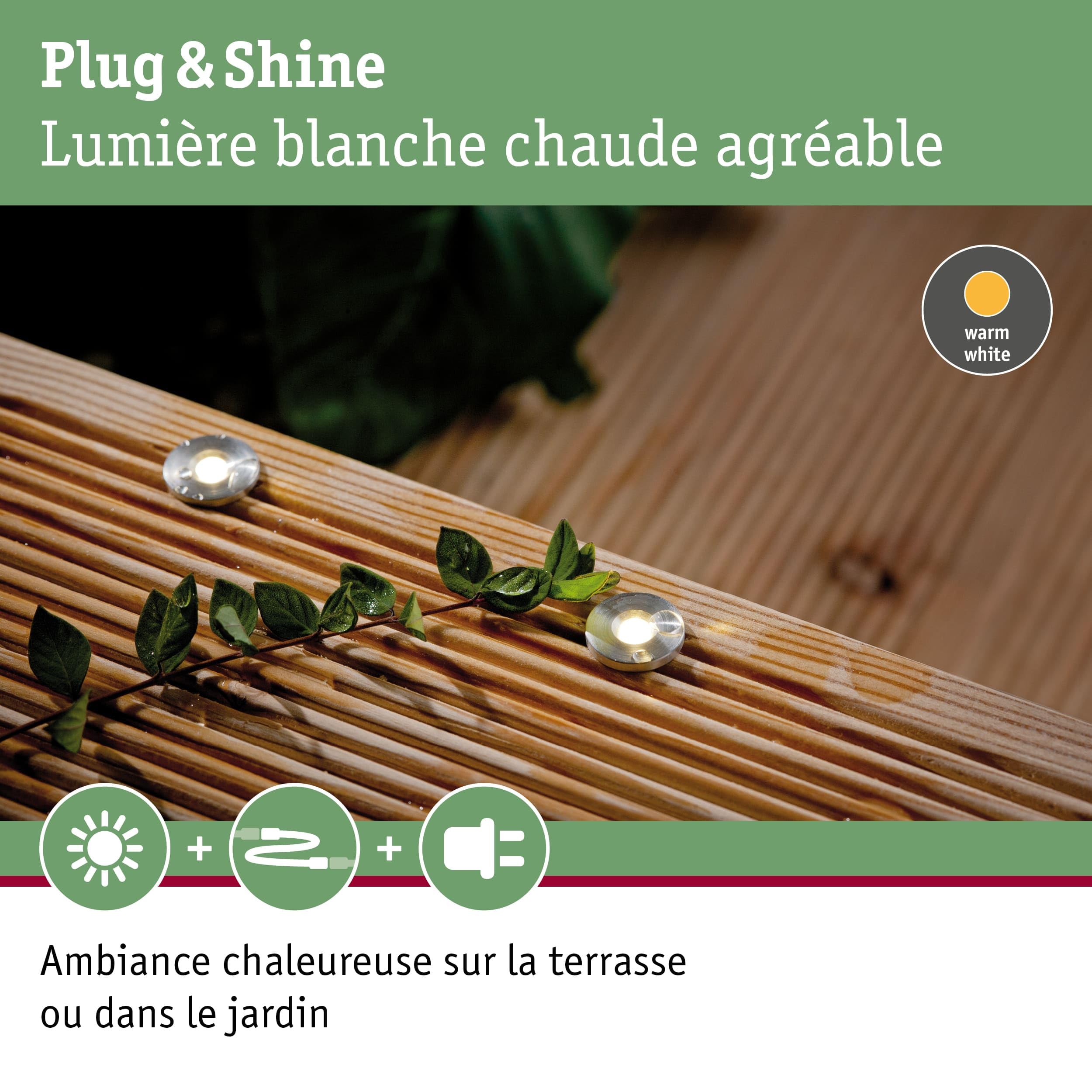 Paulmann 93695 Outdoor Plug&Shine Kit encastrés extérieur MicroPen II, 5x0,22W, (incl. driver), IP67, 3000K, Acier inoxydable argent 4,6 x 1,5 x 4,6 cm
