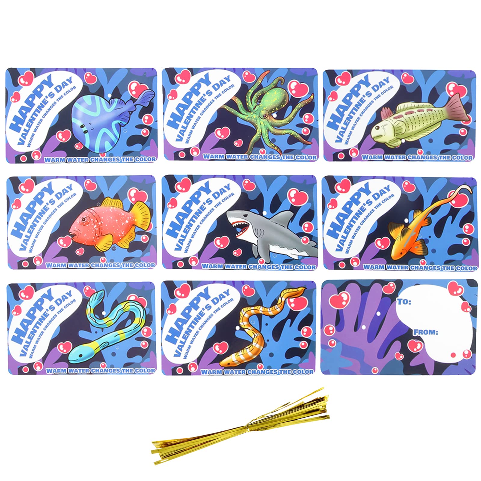 Amazon.com: Axbotoy Valentines Day Cards with Color Changing Sea