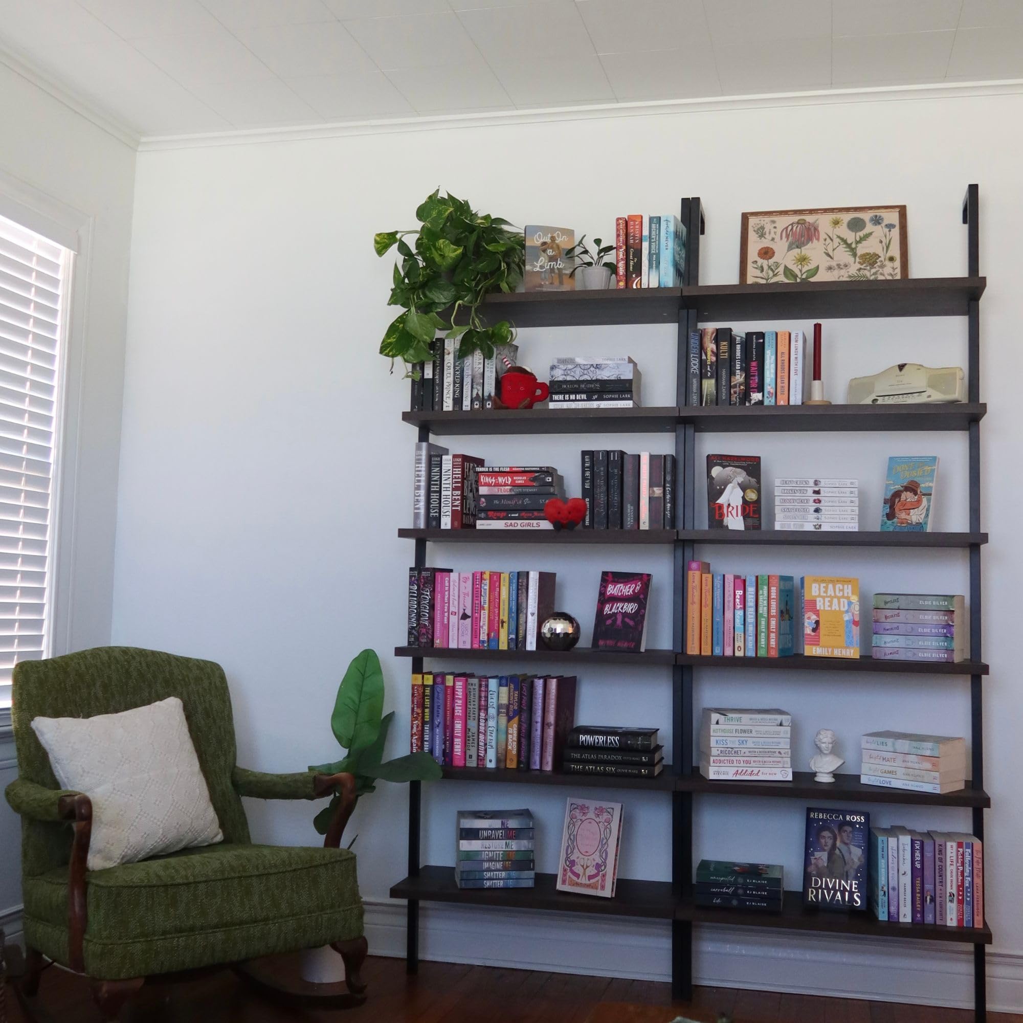 Amazon.com: Nathan James Theo 6-Shelf Tall Bookcase, Wall Mount