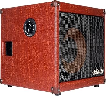 Amazon | DV MARK Markacoustic アコースティックギター・コンボ