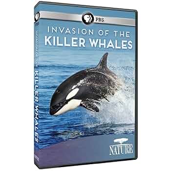 (未使用･未開封品)North Atlantic's Most Endangered Whales [DVD] 811e5CQH3CL._UF350,350_QL50_.jpg