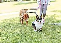 Vista 4 de Cajun Tie Downs Reflectante – Correa doble para perro – Sin enredos – Ajustable – 13-24 pulgadas – Fabricado en Estados Unidos