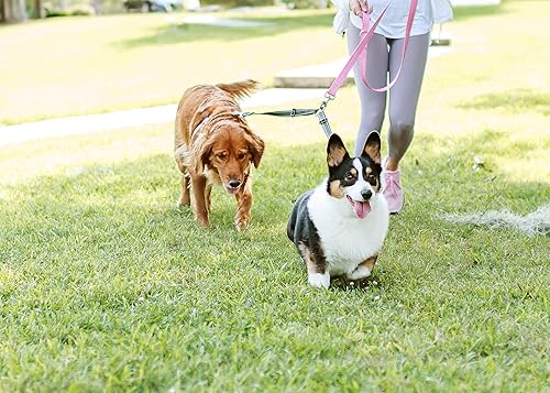 Miniatura 4 de Cajun Tie Downs Reflectante – Correa doble para perro – Sin enredos – Ajustable – 13-24 pulgadas – Fabricado en Estados Unidos