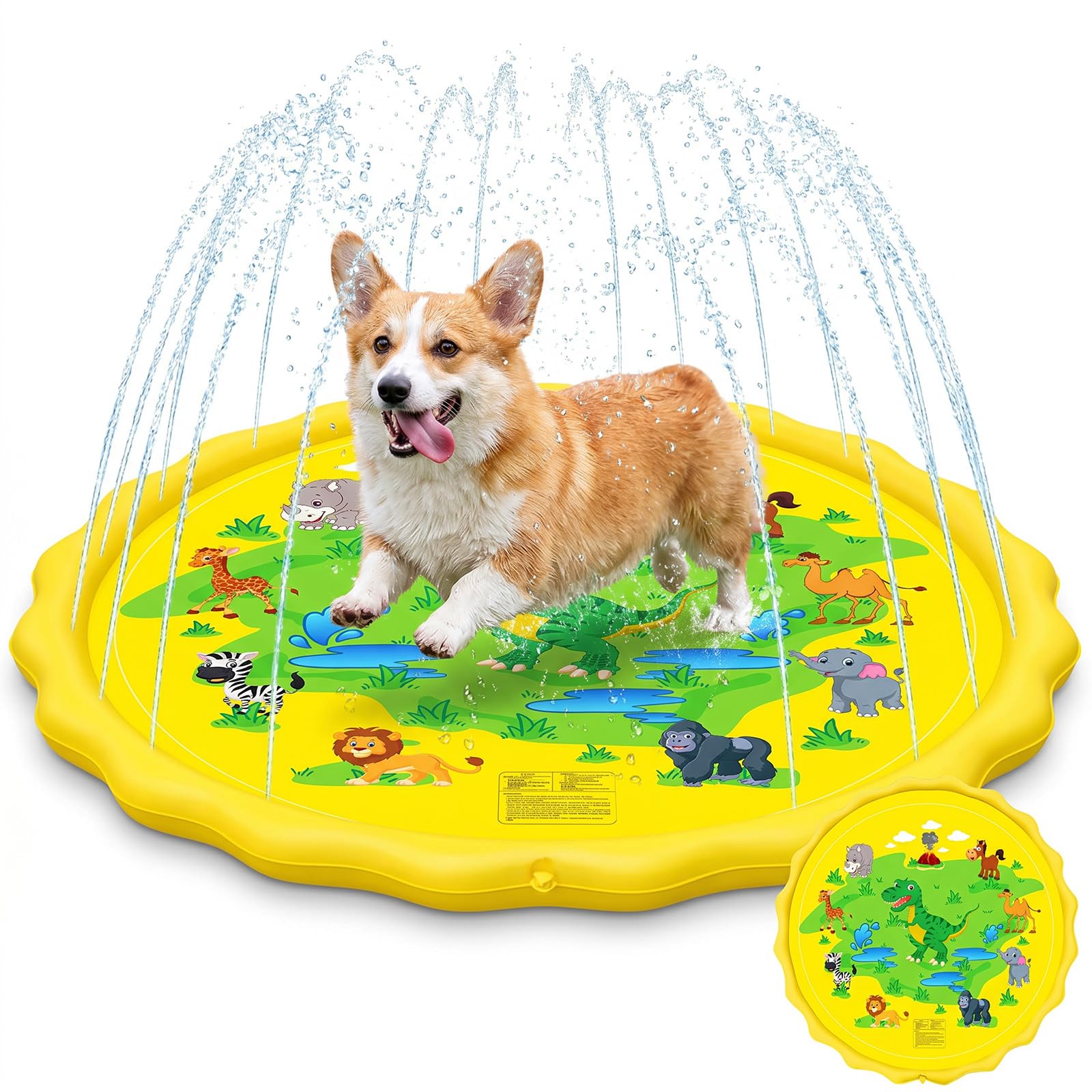 Splash Pad