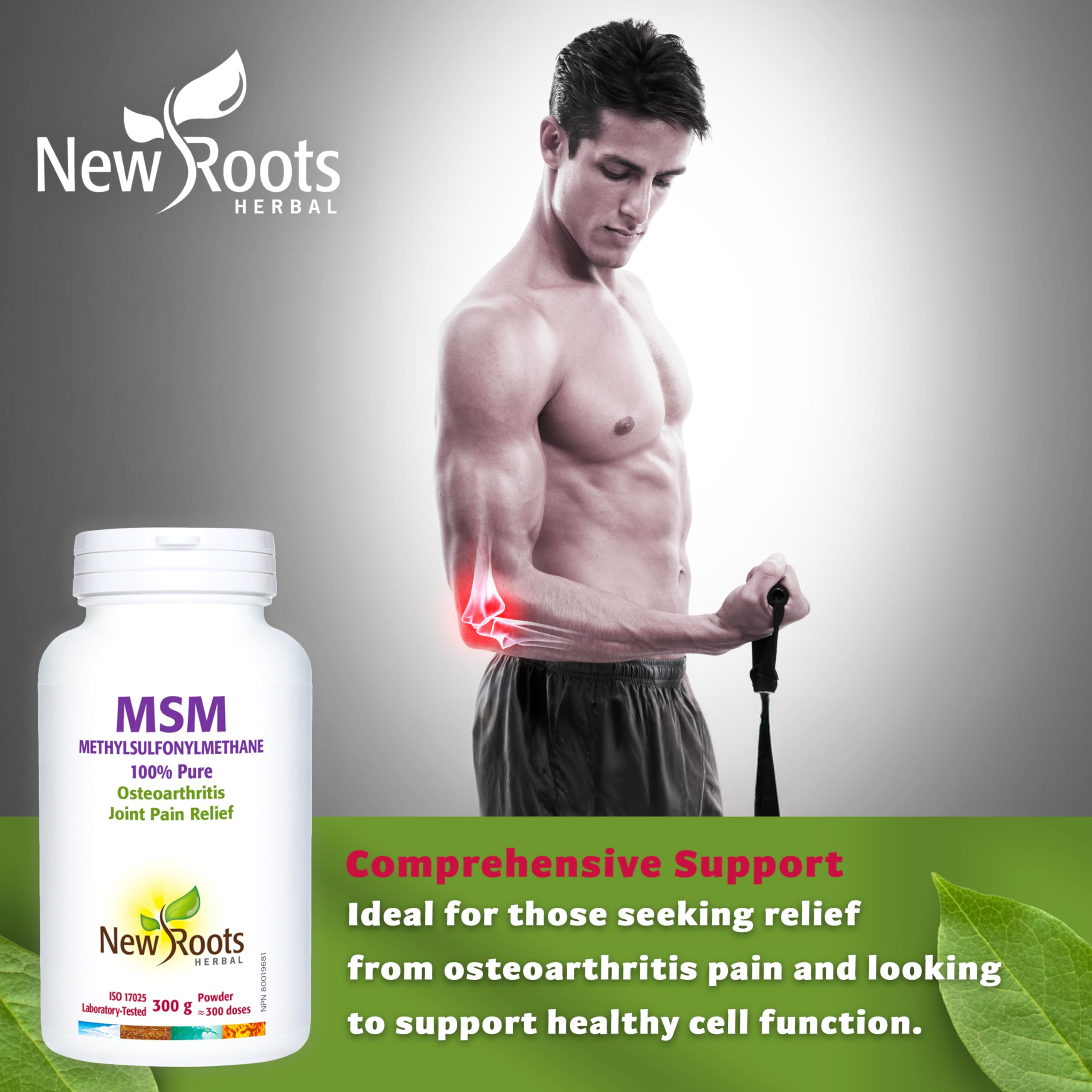 Msm Pure Msm Powder Supplement MSM POWDER