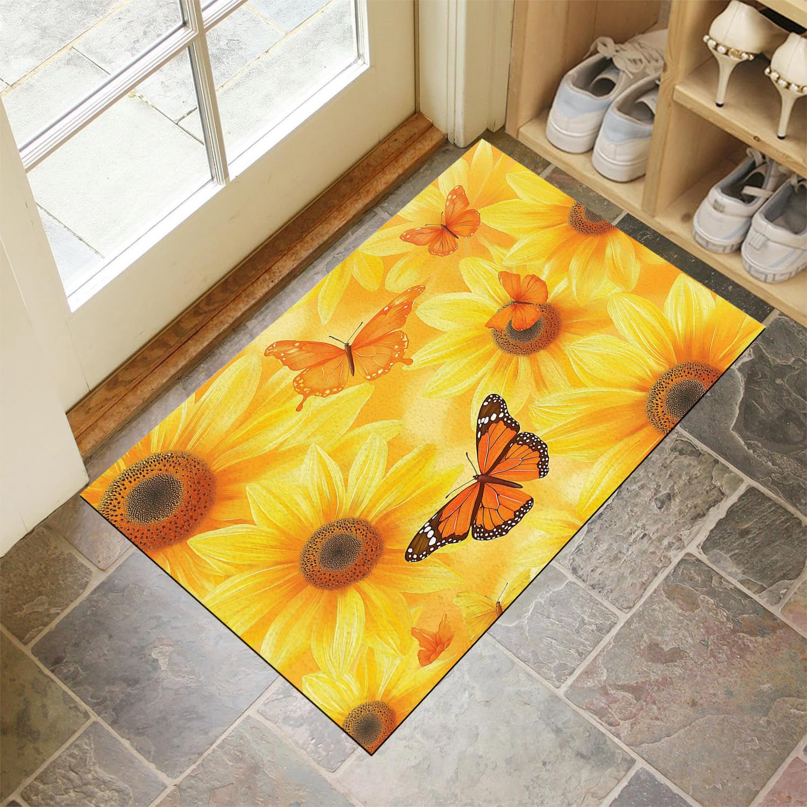 Tapis de porte entrée absorbant et paillasson extérieur résistant 60x90