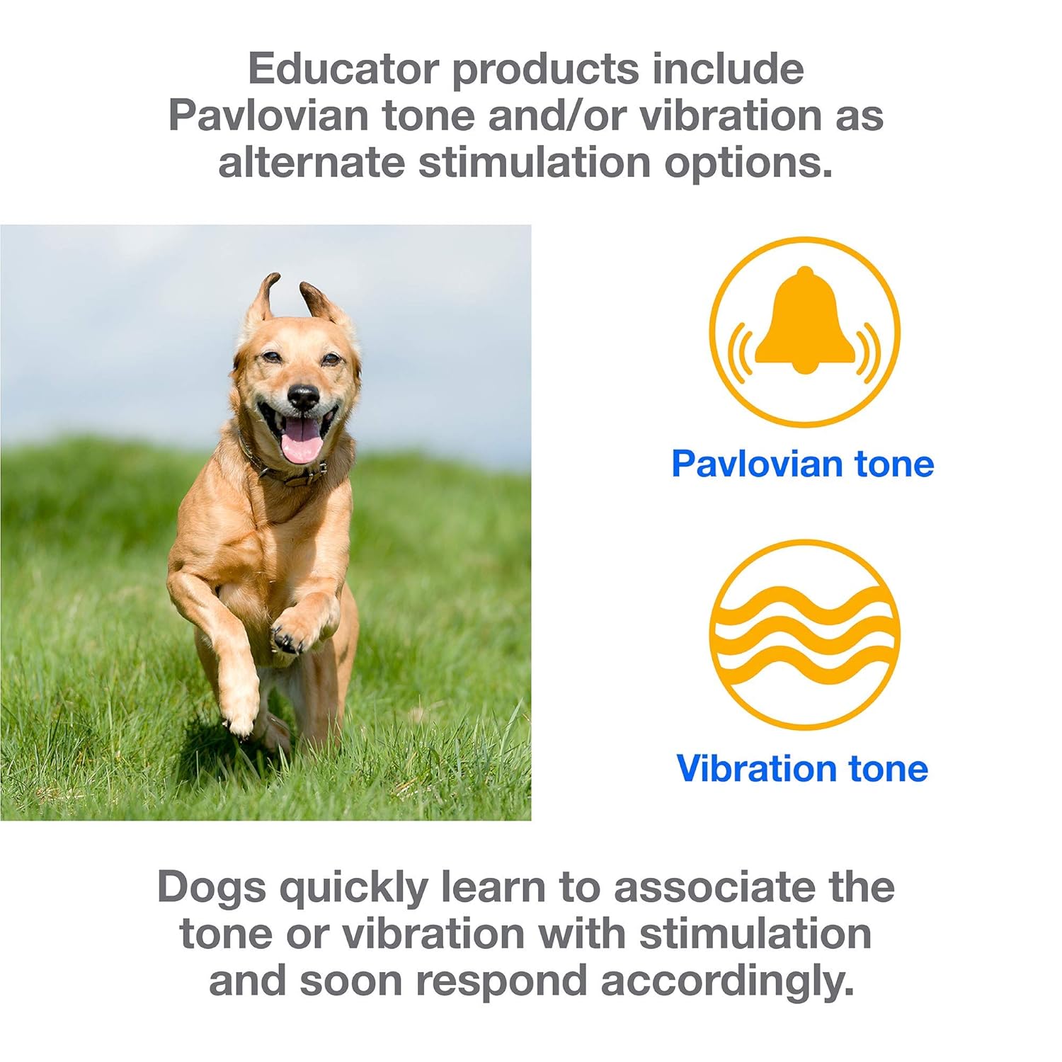 mini educator bark collar