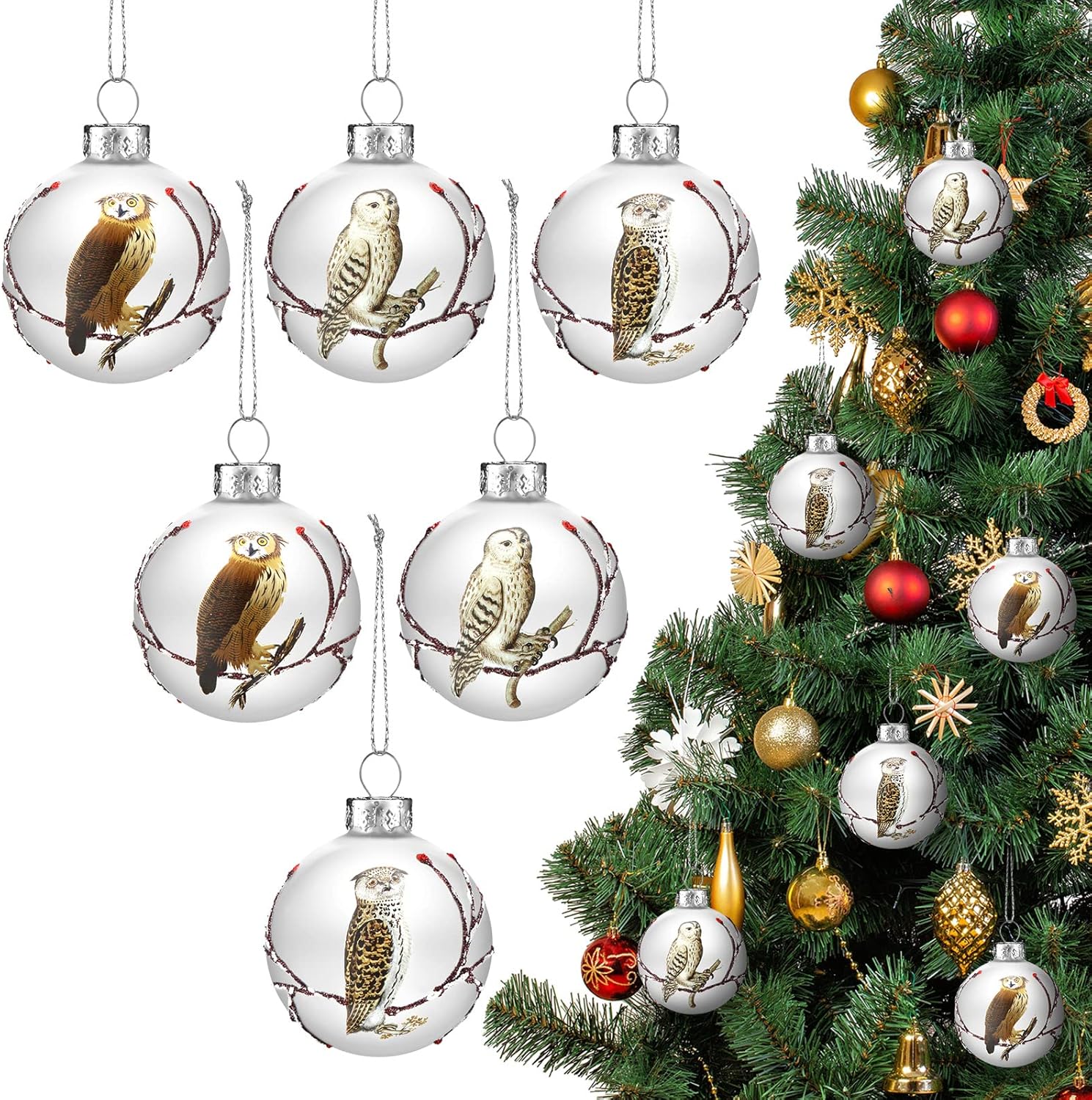 Hoolerry Set of 6 Christmas Owl Ornaments, Glass Ball Winter Tree Decorations, Owl Hanging Painting Baubles for Xmas Tree, Memorial Gift Decorations Holiday Glass Bird Ornaments
