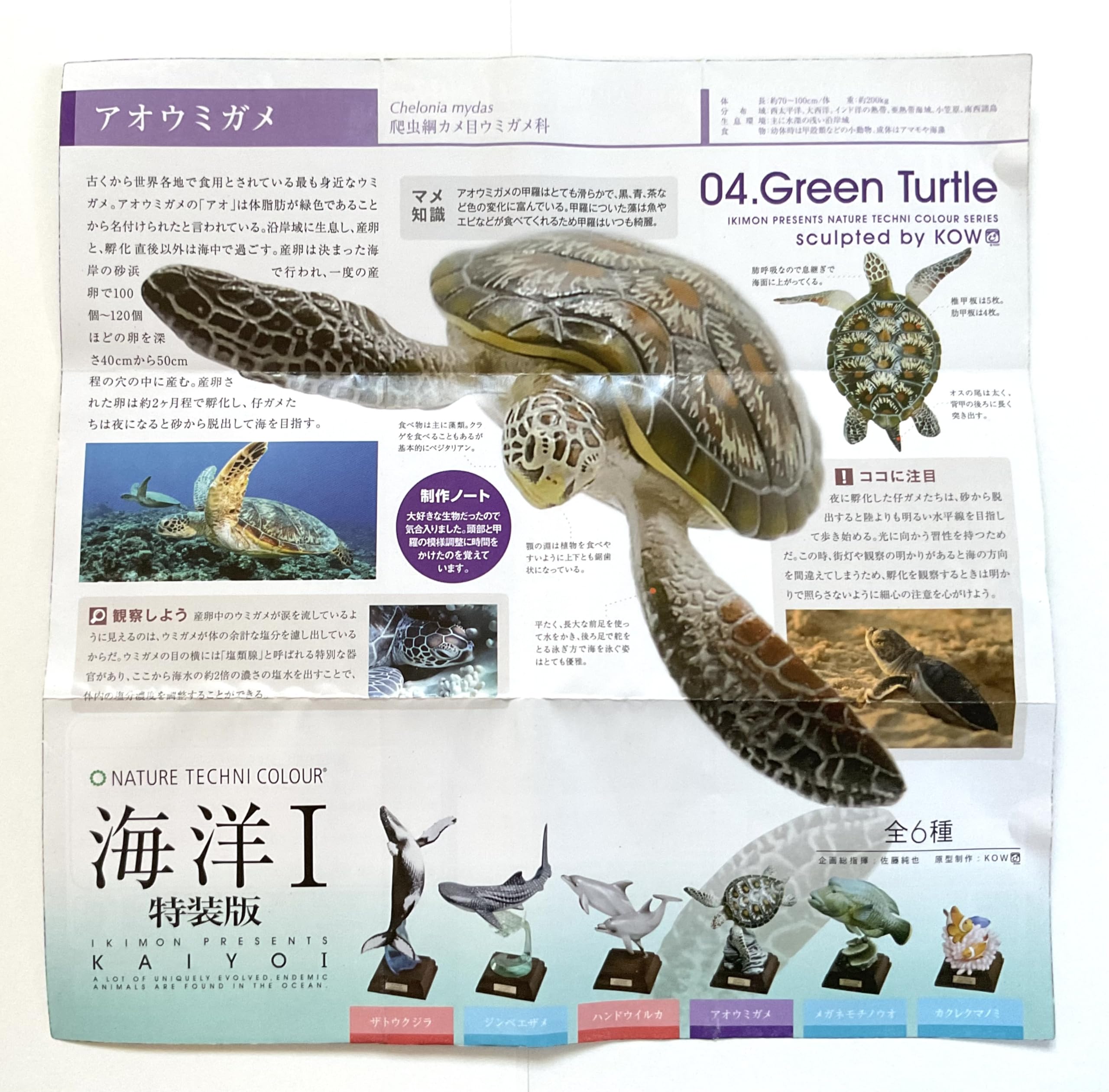 ネイチャーテクニカラー　海洋Ⅰ　旧版　5点セット ネイチャーテクニカラー 海洋Ⅰ 旧版 5点セット NTC 海洋Ⅰ 特装