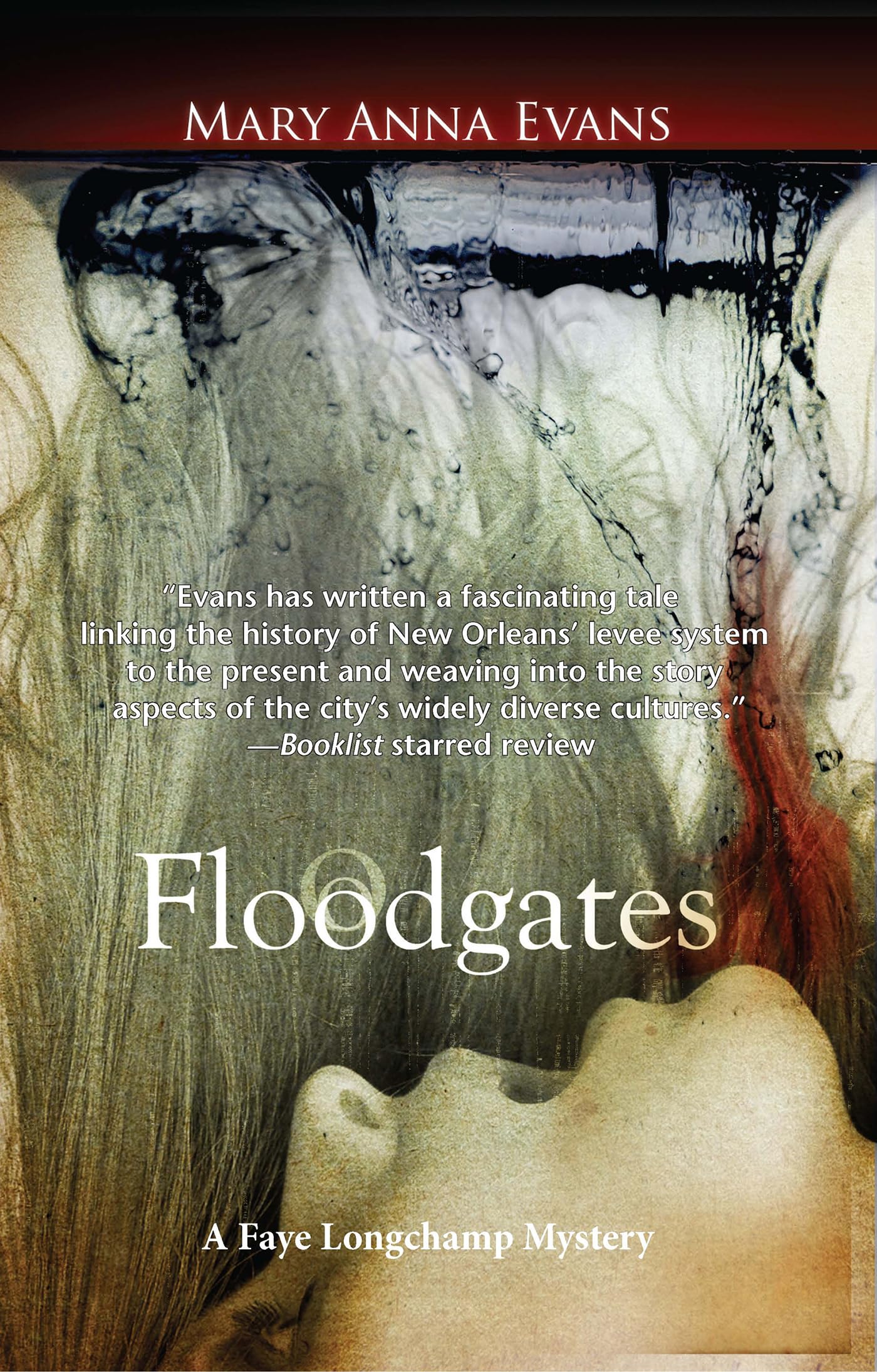 Floodgates (Faye Longchamp Archaeological Mysteries, 5) Paperback – September 30, 2011
