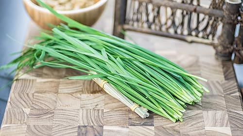 Miniatura 3 de Más de 400 Semillas de Cebolleta de Ajo Cebolleta - Verde Vegetal