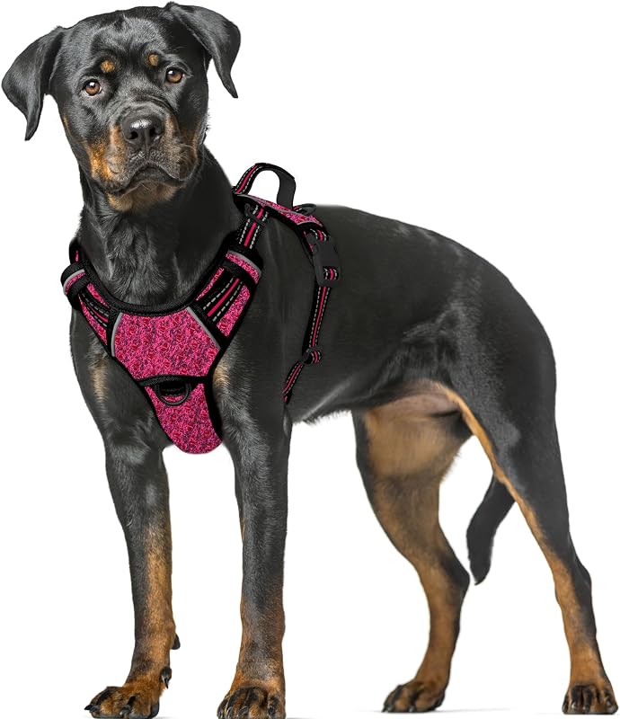Peitoral Vest BARKBAY para Cães Grandes com Controle Antipuxão, Faixas Refletivas e Bolso para Identificação