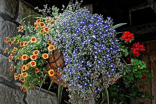 Miniatura 5 de Forro de Coco para maceteros de 14.0in, 2 piezas de repuesto redondo para cesta de plantas de repuesto (14.0in redonda)