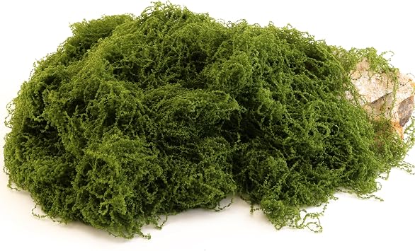 Dark Green Moss is Used for Handicrafts, Artificial Moss, Glass Vase Fillers, Wedding/Christmas/Spring Green Parties/Indoor Flower Pots/DIY Rainforest Models/Table Decoration 7.05 Ounces