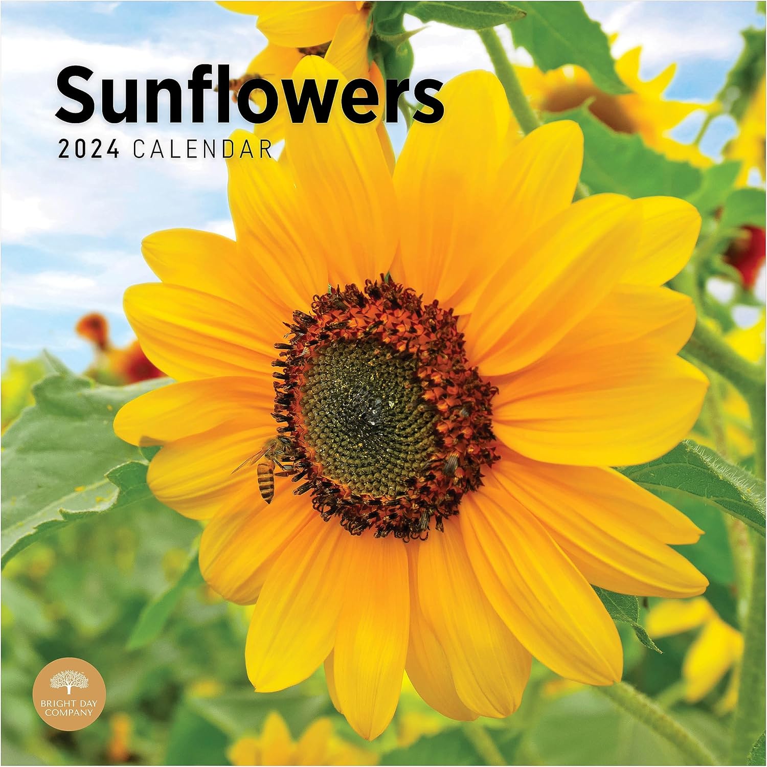 2024 Sunflowers Monthly Wall Calendar by Bright Day, 12 x 12 Inch