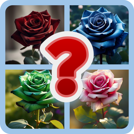 Guess Rose color