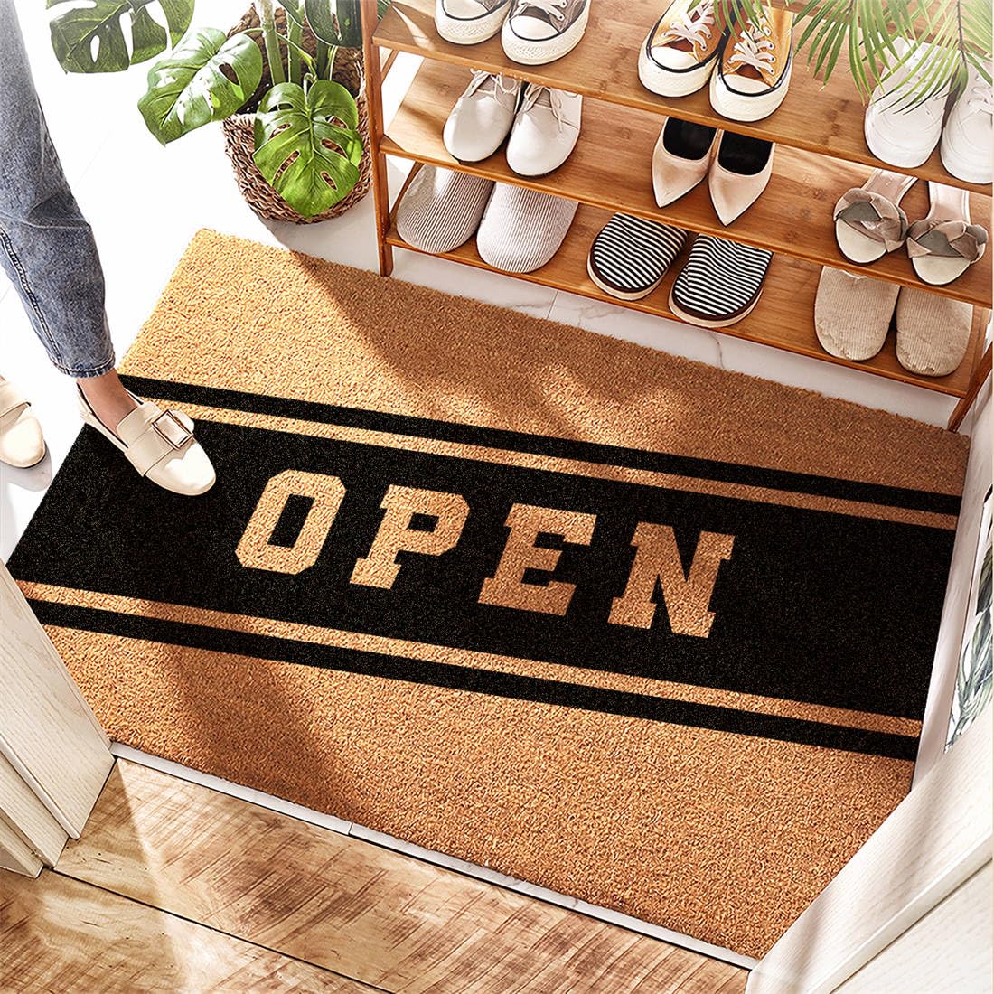 Tapis d'entrée doux haut de gamme 65 x 90 cm pour intérieur et extérieur