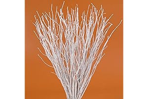 40 Pieces Real Dried Birch Twigs 17" Natural Decorative Birch Branches
