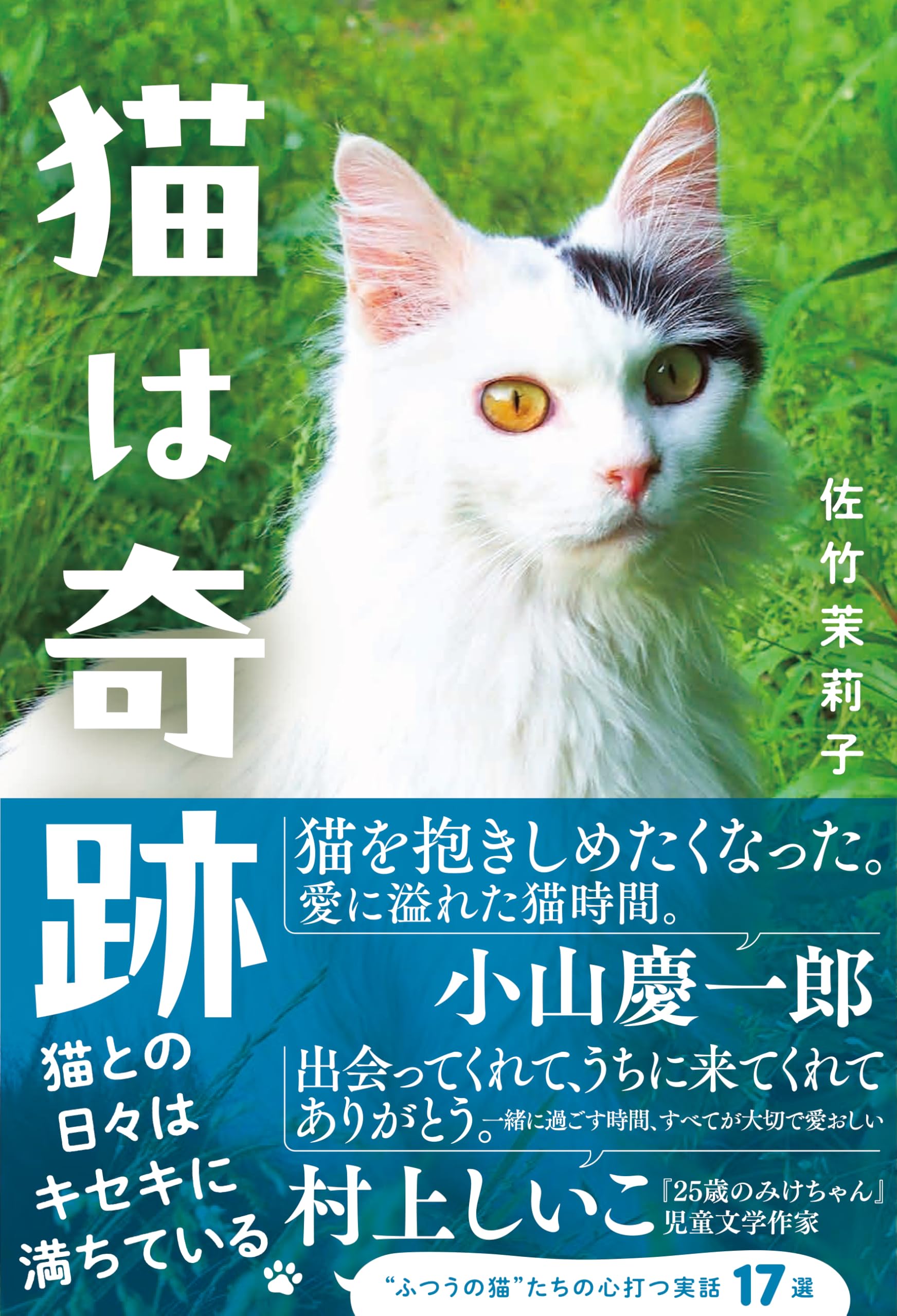猫は奇跡 | 佐竹 茉莉子 |本 | 通販 | Amazon