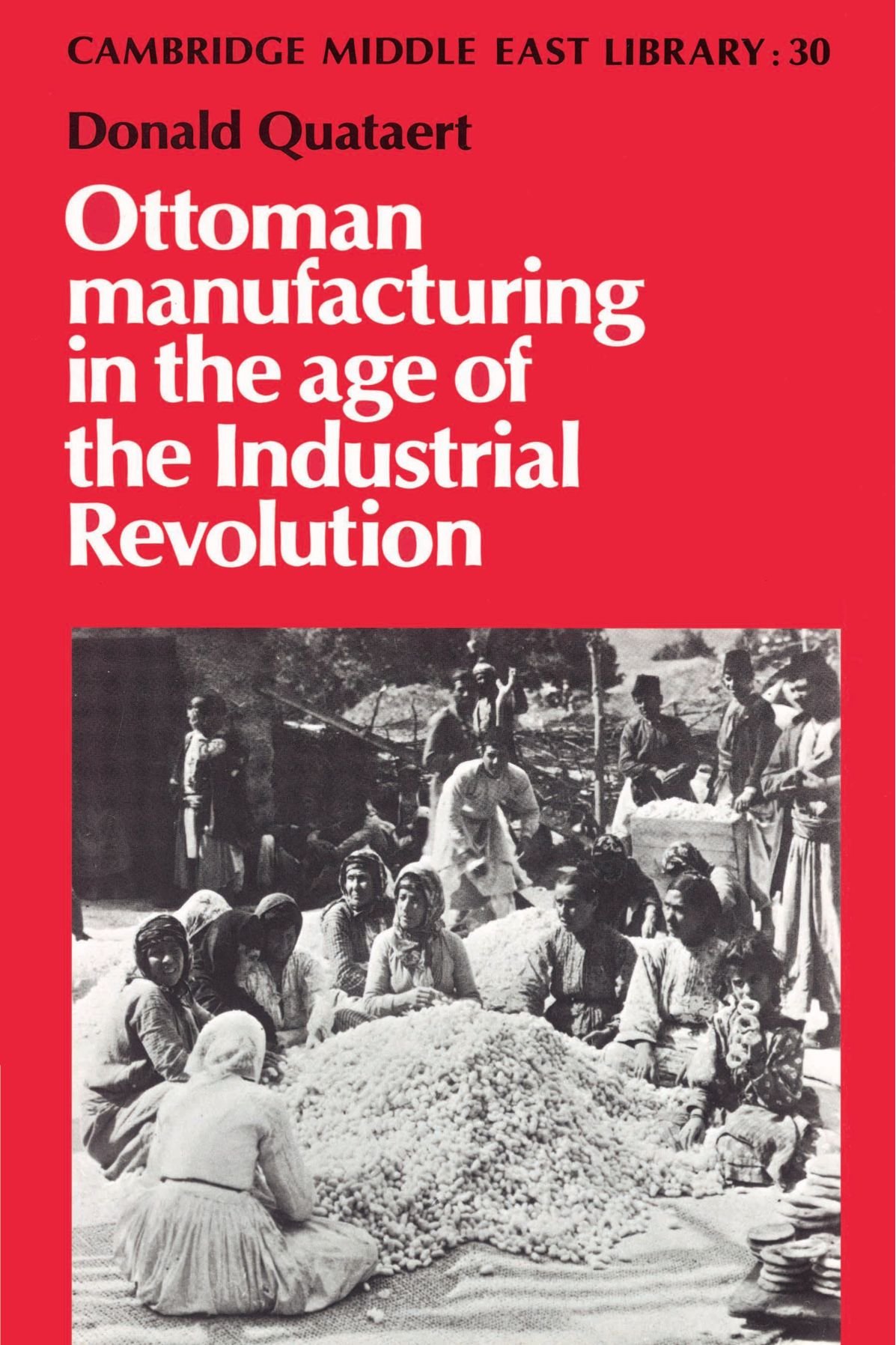 Ottoman Manufacturing in the Age of the Industrial Revolution: 30 (Cambridge Middle East Library, Series Number 30)