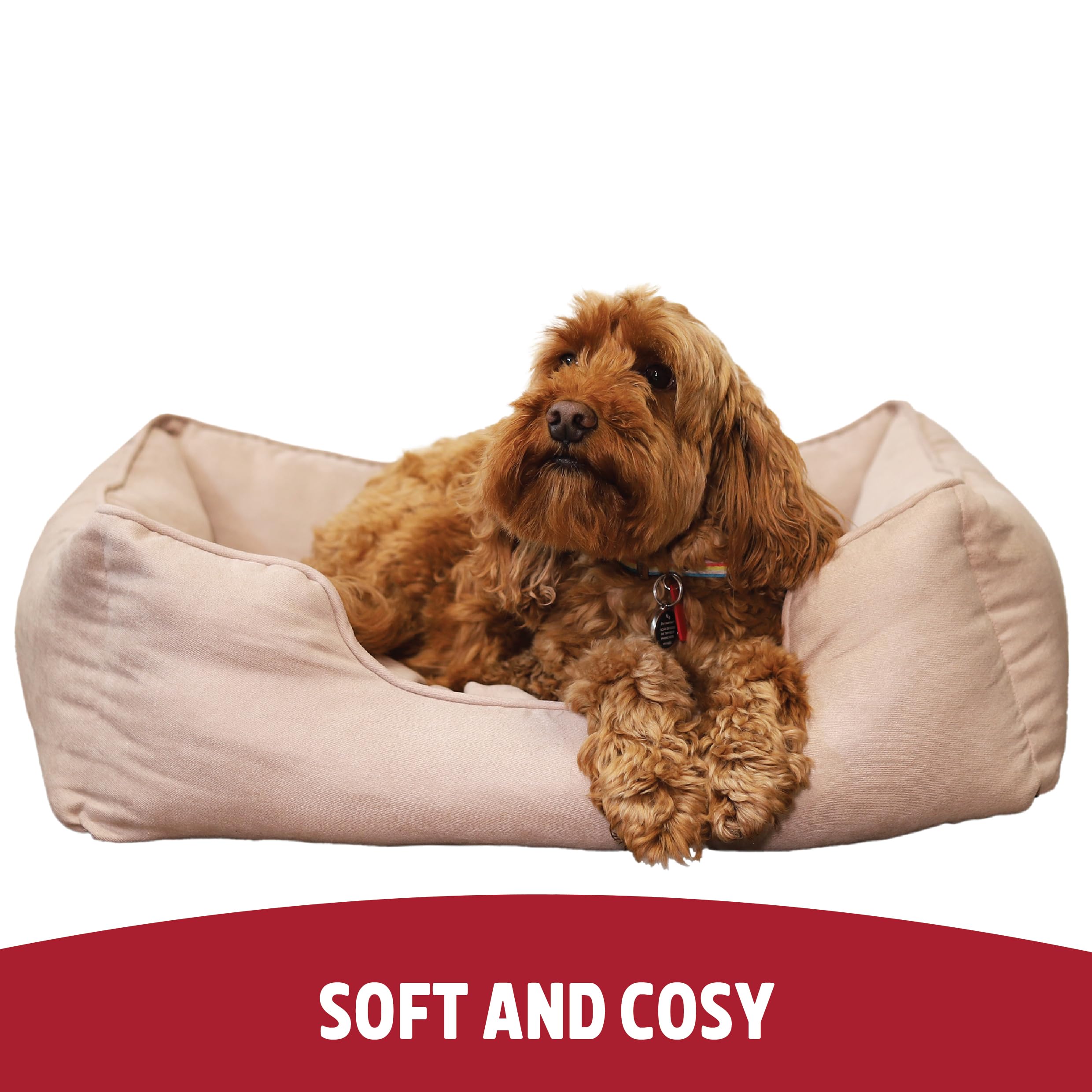 Rosewood Cama de Sarga Fina, acogedora Cama para Mascotas, tamaño pequeño, para Perros y Gatos, Color Beige