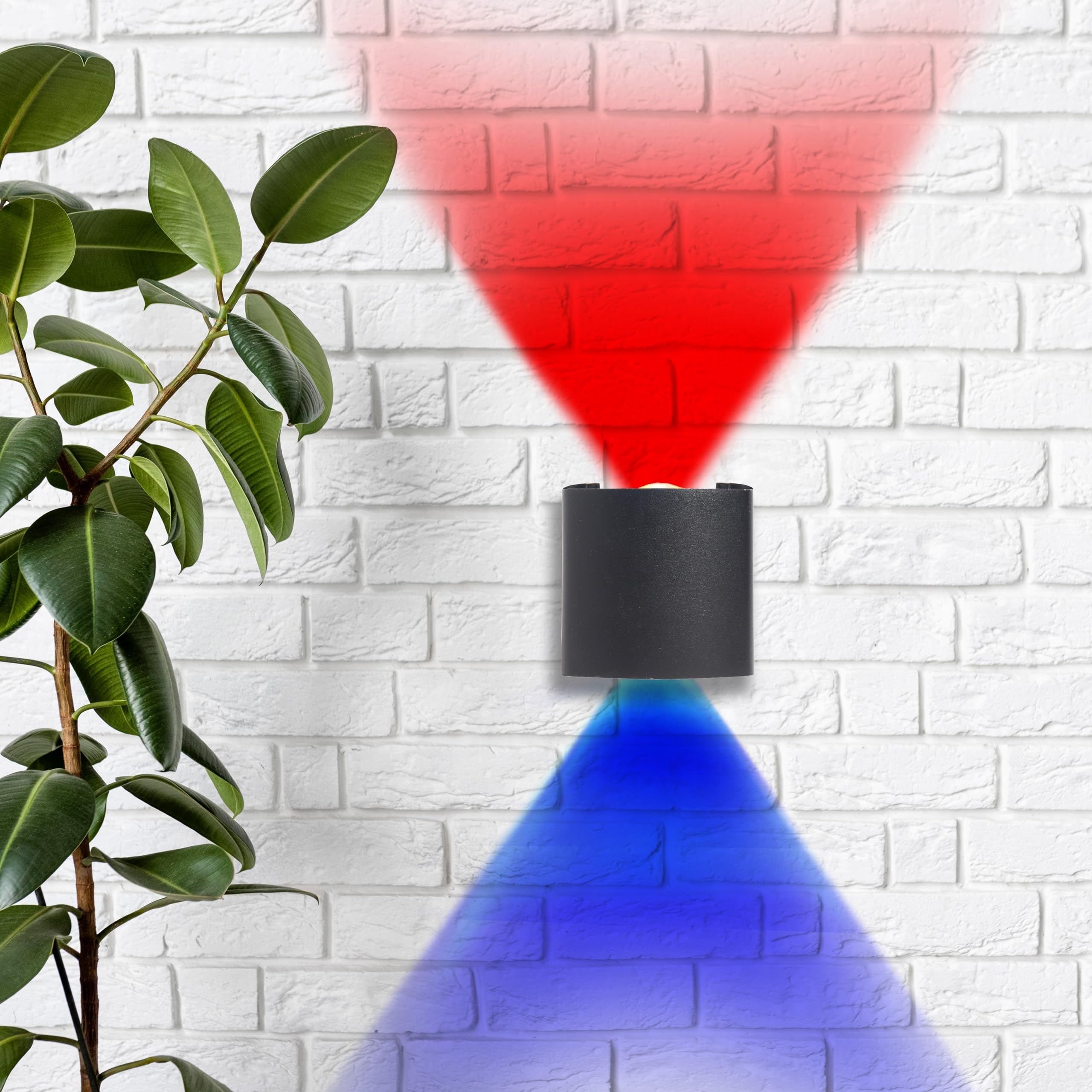 PIXORA 2 Way Up Down Waterproof LED Wall Light Warm White 2024 Model (2 Ray Red+Blue)