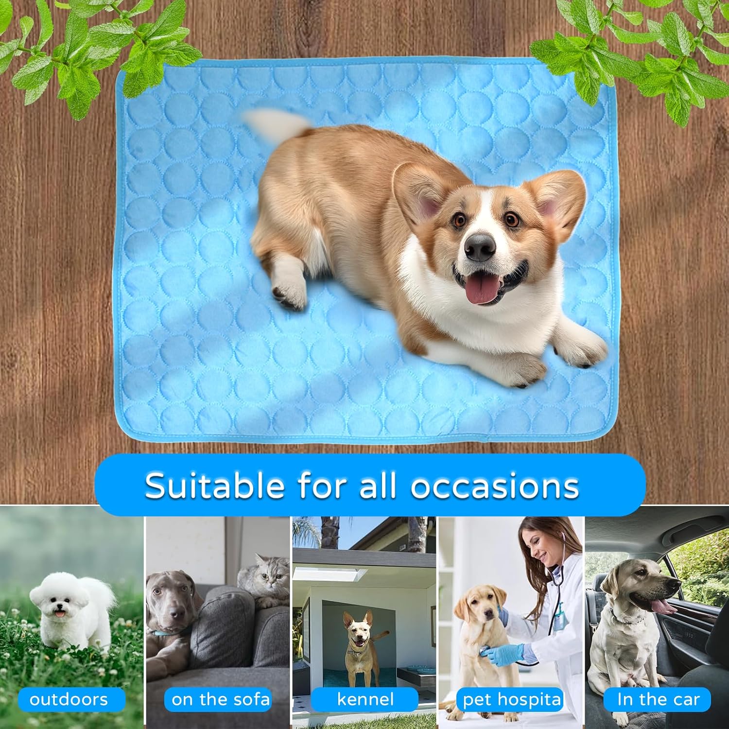 review Portable Dog Cooling Mat, Washable Self-Cooling Ice Silk Cooling Mat, Pet Reusable Bed Mat for Indoor & Outdoor Pet Beach Essentials