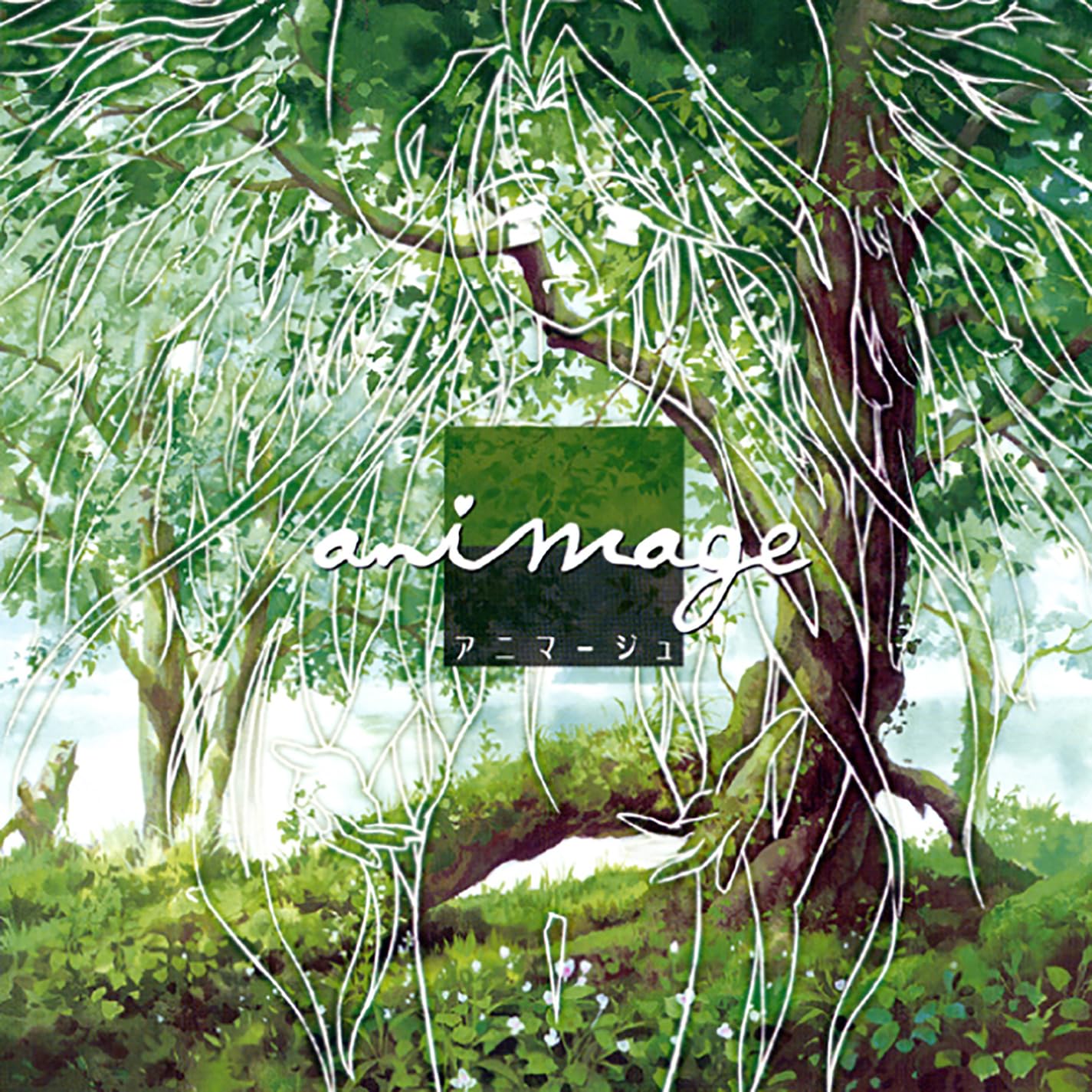 animage