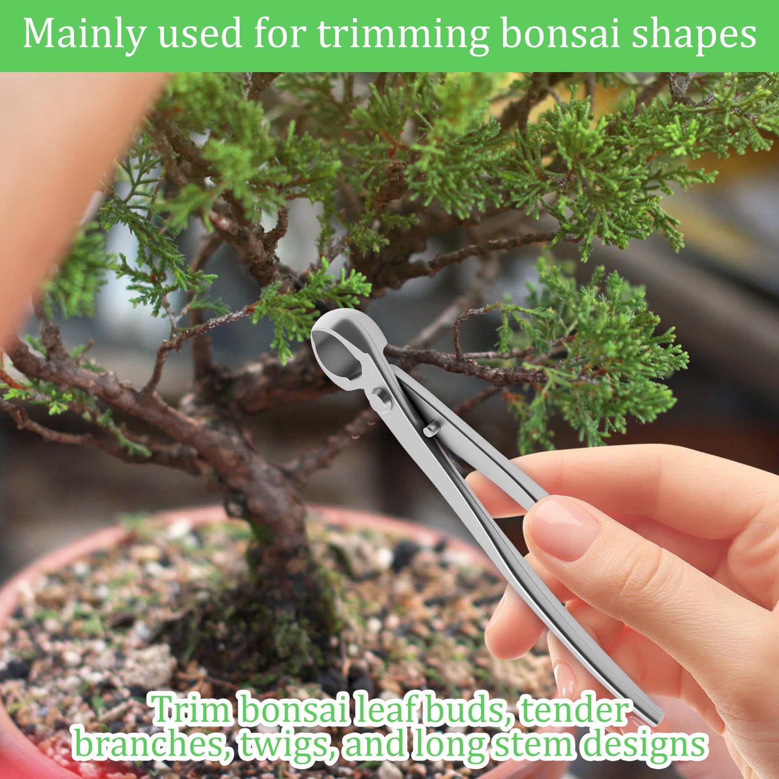 Produktbild von Vouiu 4 Piece Bonsai Tool Set, Concave Cutter, Knob Cutter