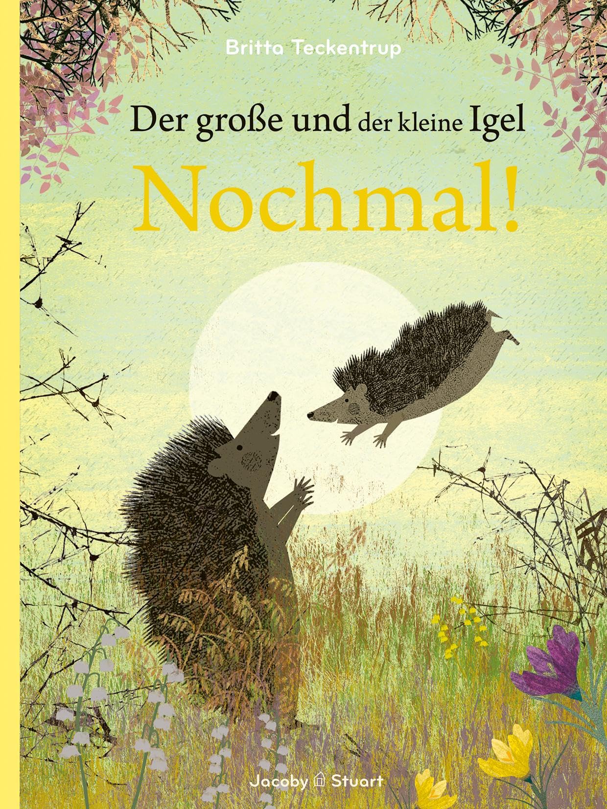 Verlagshaus Jacoby & Stuart Der Große Und Der Kleine Igel / Nochmal!