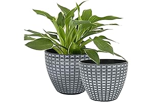 LA JOLIE MUSE Modern Chic 7.5" Plant Pots