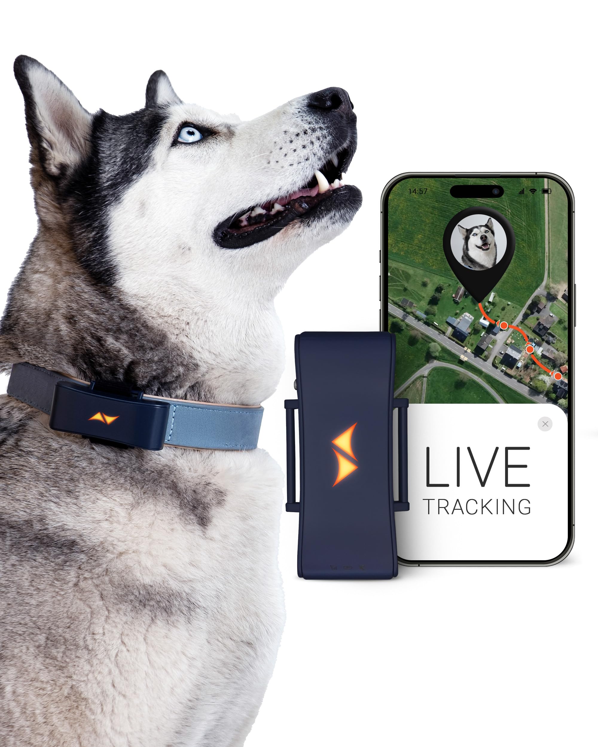 PAJ GPS - Tracker per Cani, Allarme di Fuga + Risparmio Energetico in Prossimità Router WiFi - Segnali Acustici - Luci LED - Resistente All'acqua al 100% - Adatto a Tutti i collari, Blu Notte