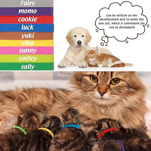 Miniatura 2 de 60 collares de parto para cachorros, multicolor, collares de identificación para cachorros, reutilizables, suaves, bandas de identificación